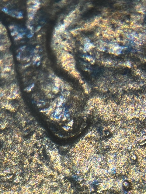 Lincoln-Memorial-Cent-1988-D--Normal-Ear-?-Or-?